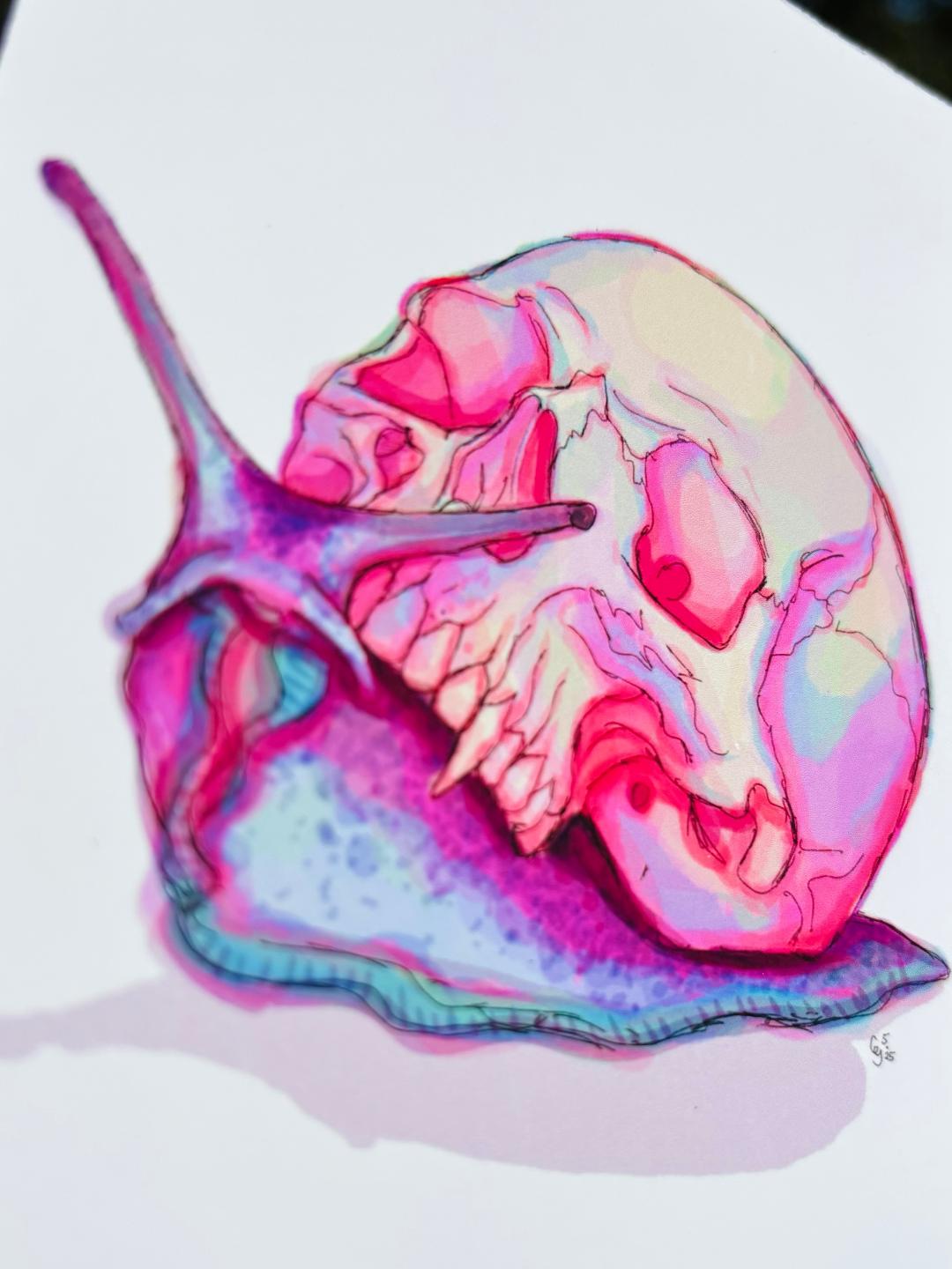 Skull Snail Print 4x6in