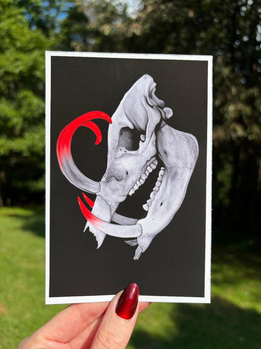 Boar Skull Print 4x6in