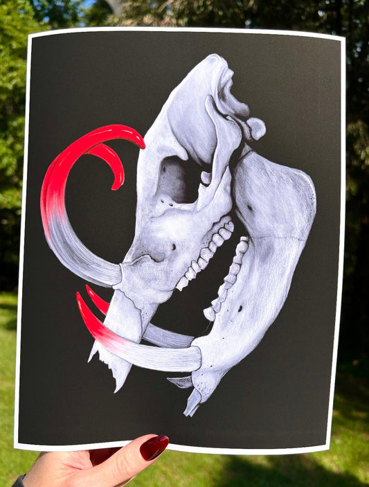 Boar Skull Print 11x8.5in