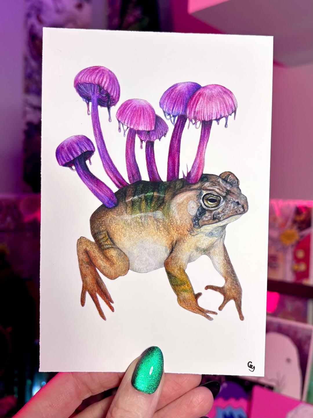 Mushroom Toad 4x6in Print