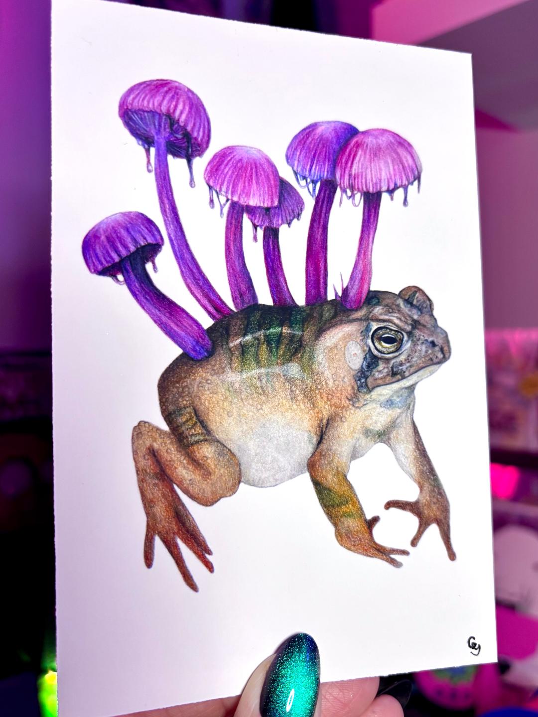 Mushroom Toad 4x6in Print