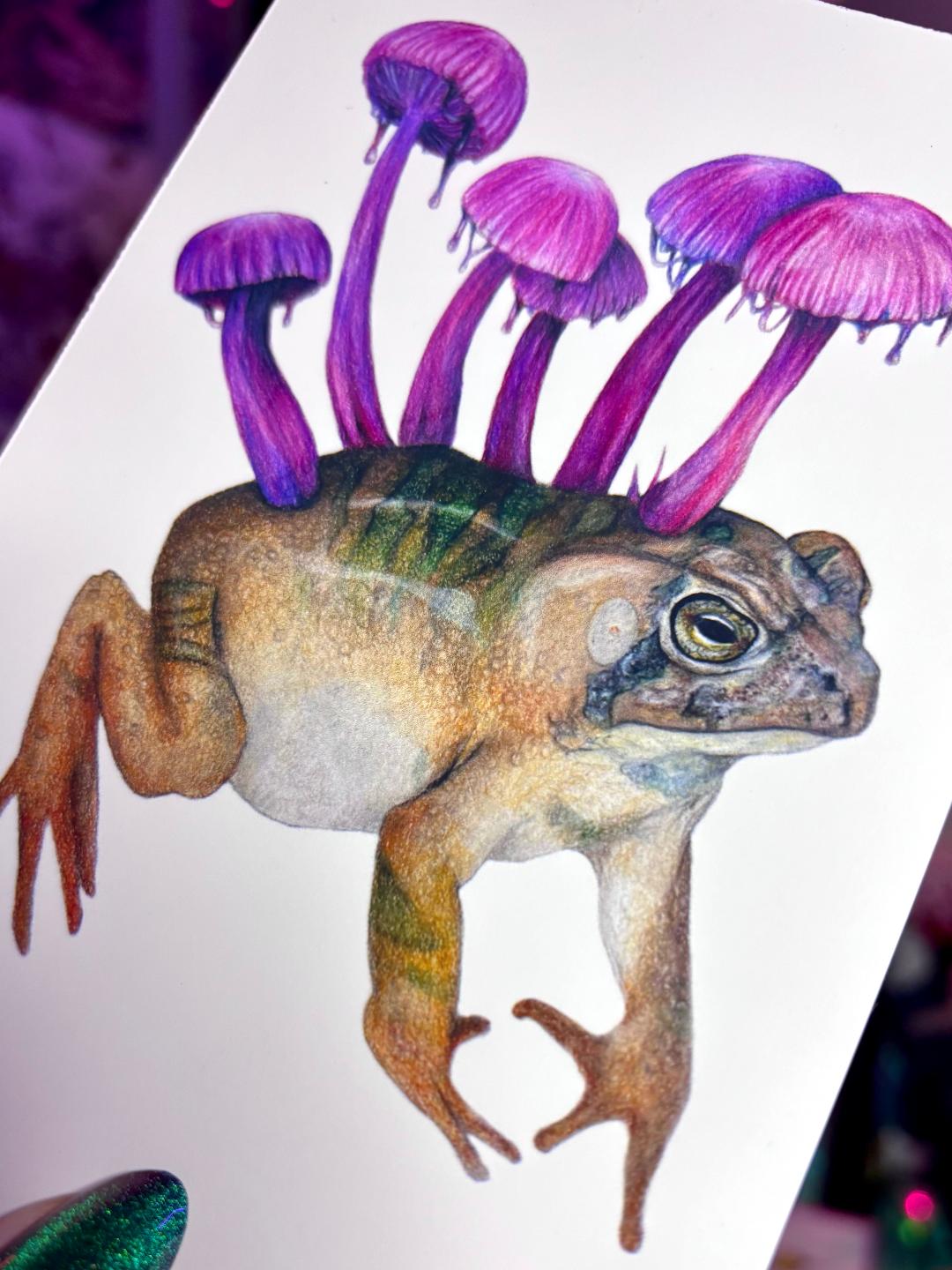 Mushroom Toad 4x6in Print