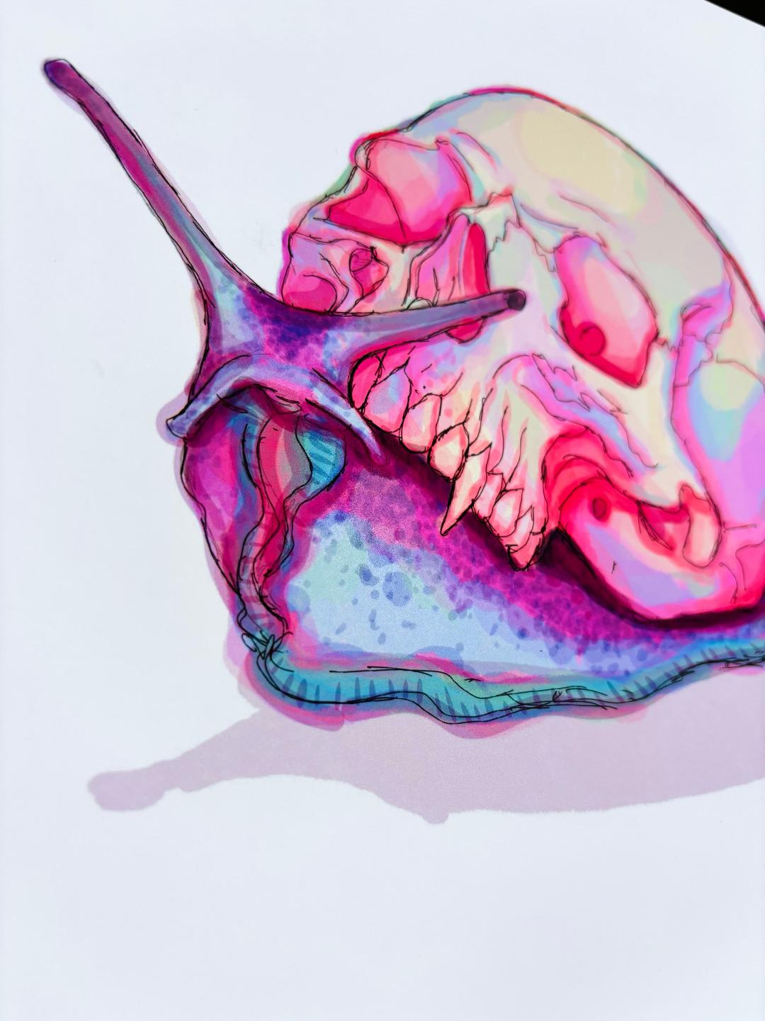 Skull Snail Print 11x8.5in