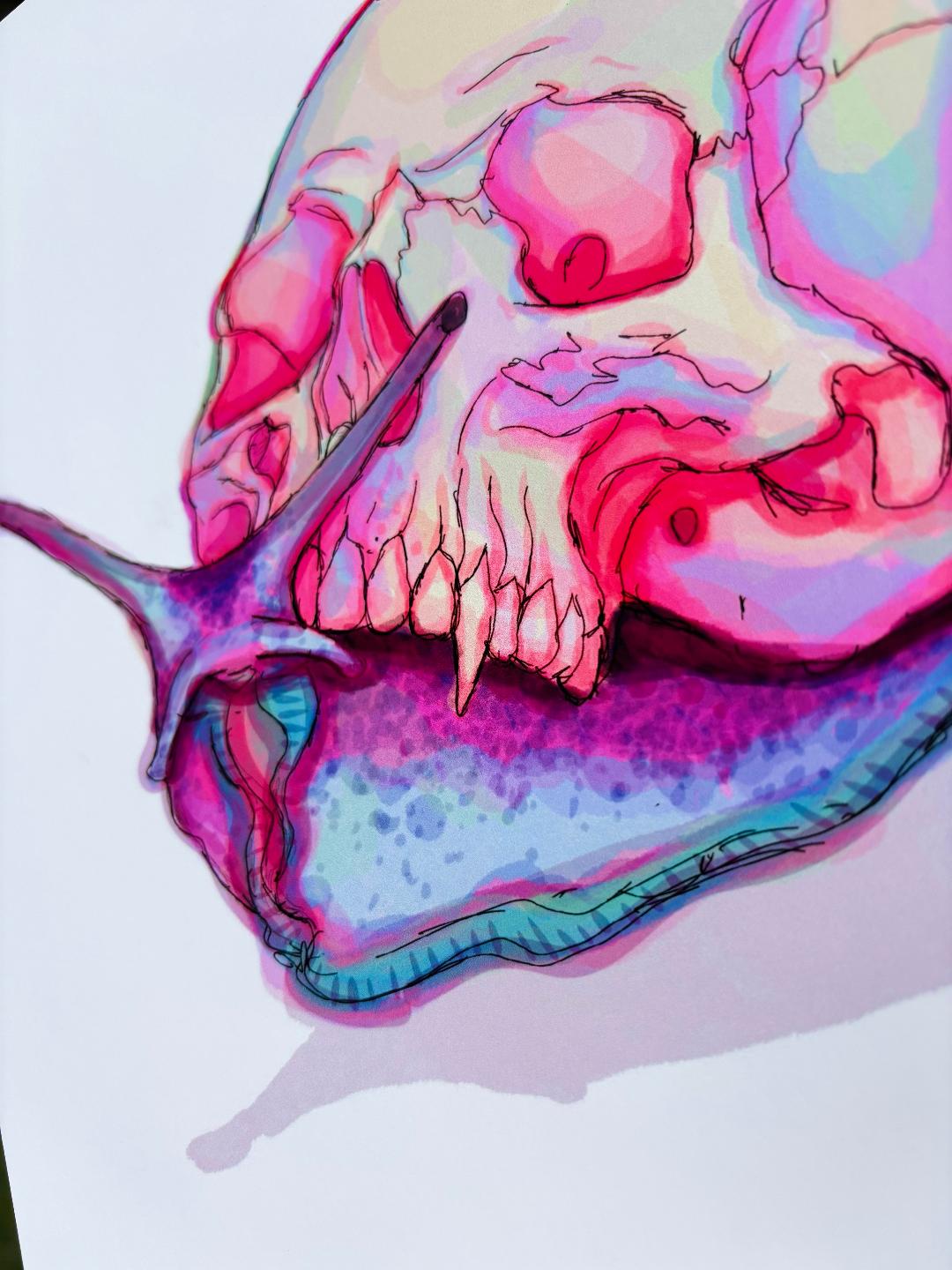 Skull Snail Print 11x8.5in