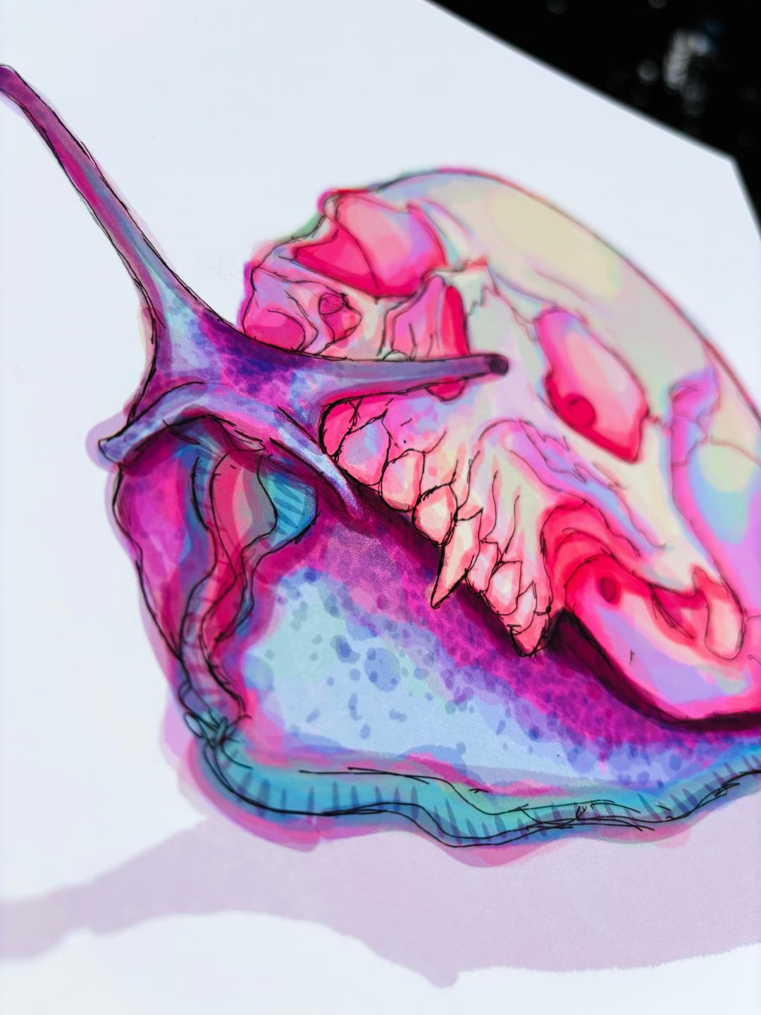 Skull Snail Print 11x8.5in