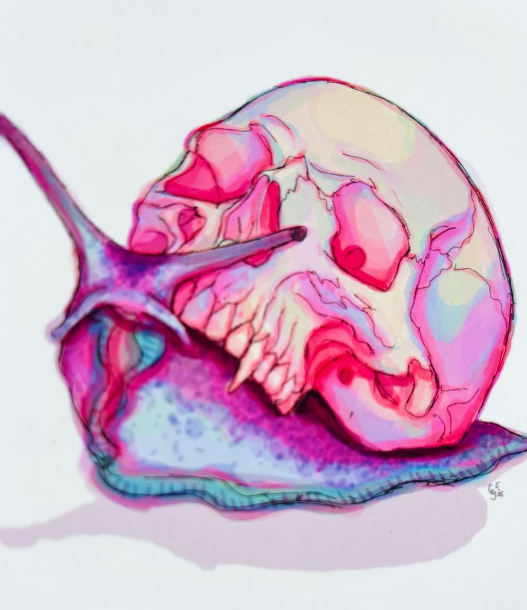 Skull Snail Print 4x6in